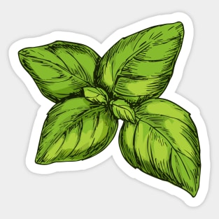 Aromatic Basil Herb Sticker